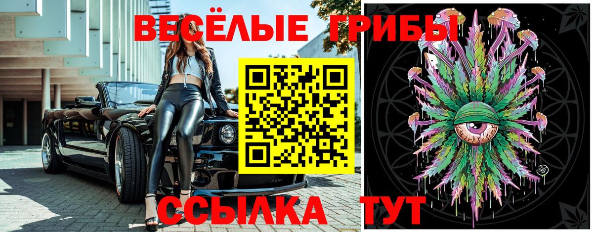 Гурьевск  Галлюциногенные грибы ЛСД  Вход с VPN 