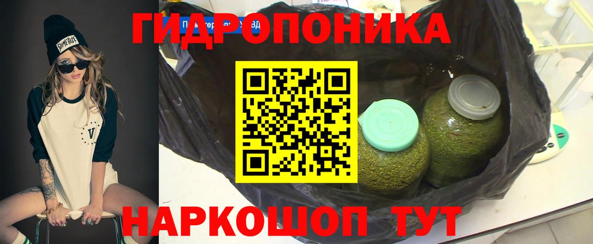 Гурьевск  Бошки марихуана планчик  Каннабис план  Вход с VPN 